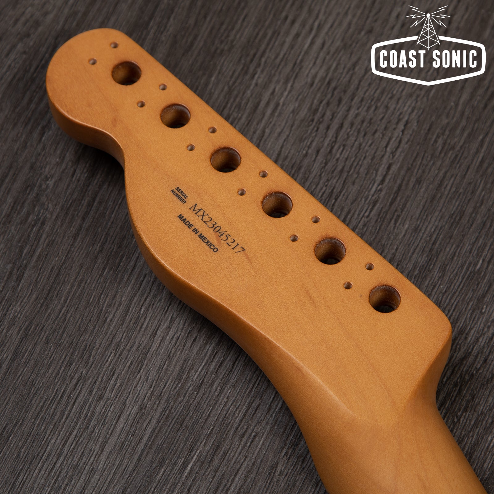 Fender Player Plus Telecaster Neck Maple