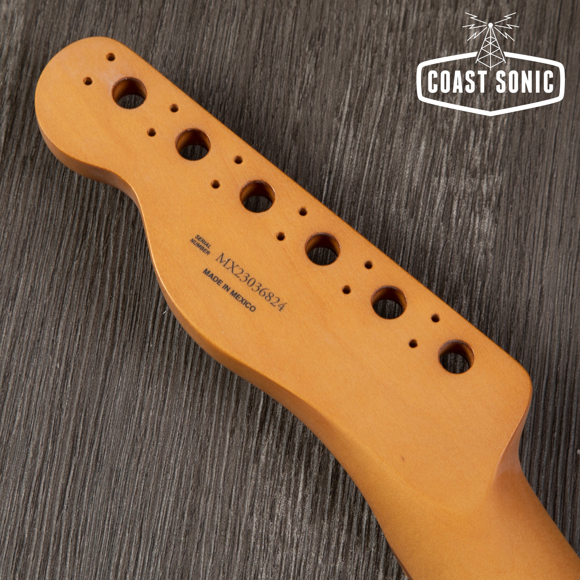 Fender Player Plus Telecaster Neck - Pau Ferro