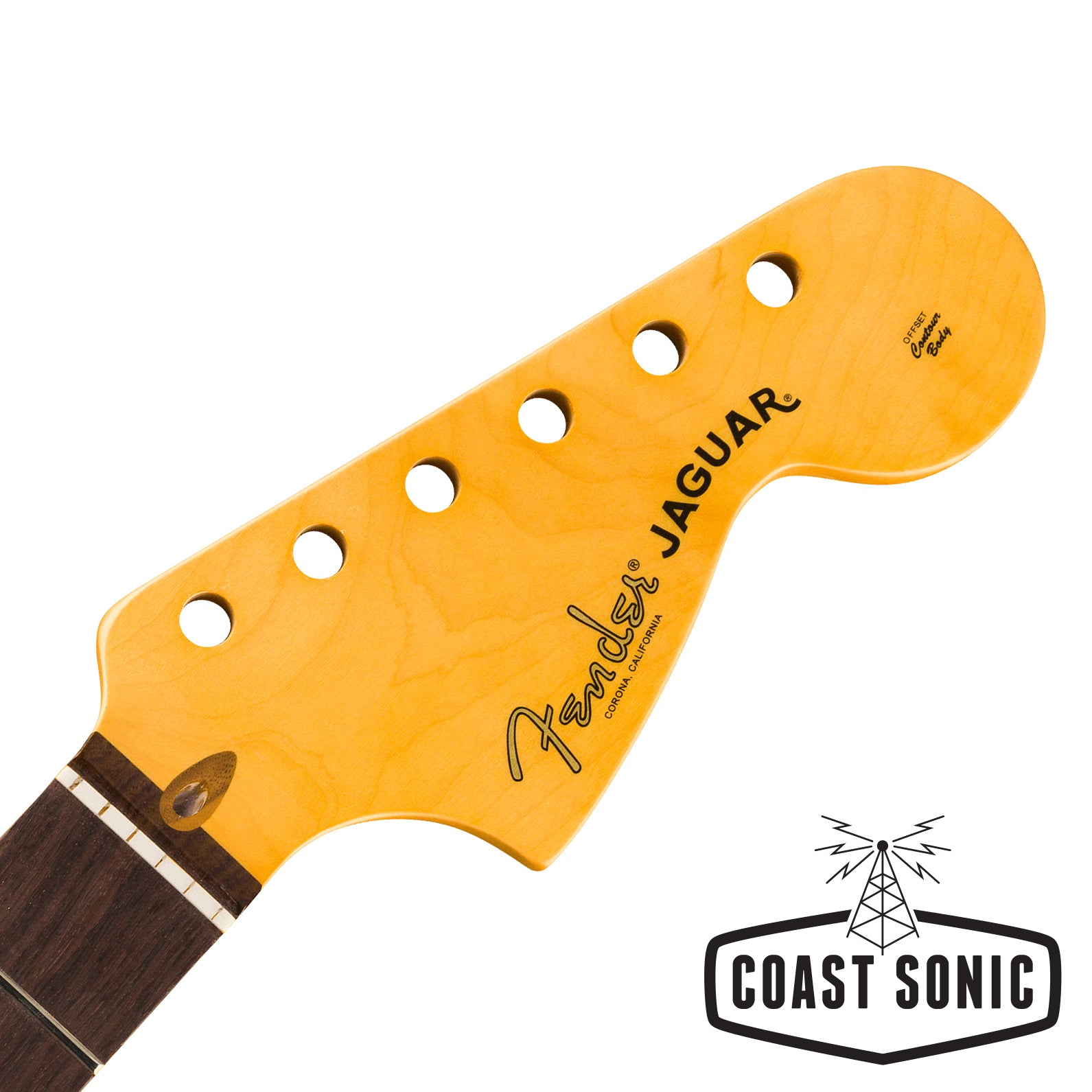 Fender American Professional Classic Jaguar Neck - Rosewood