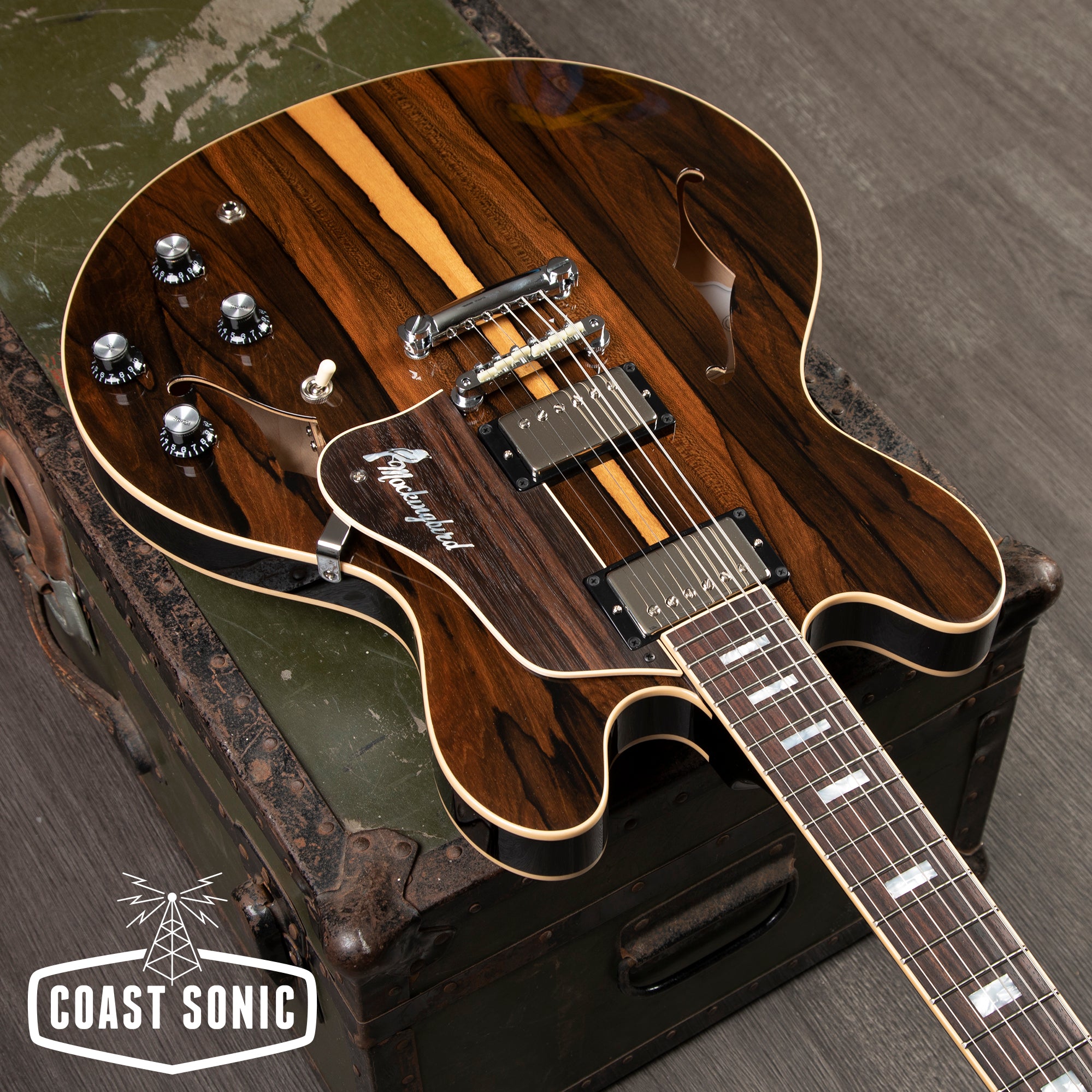 Josh Williams Guitars Mockingbird Zircote Top, Ron Ellis pickups