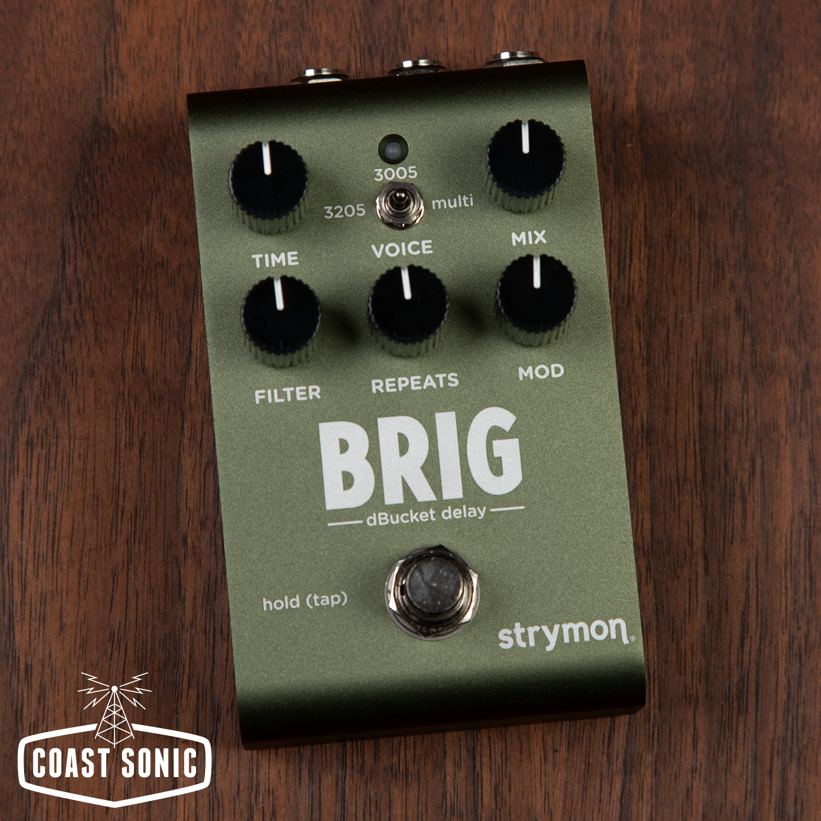 Strymon Brig dBucket Delay
