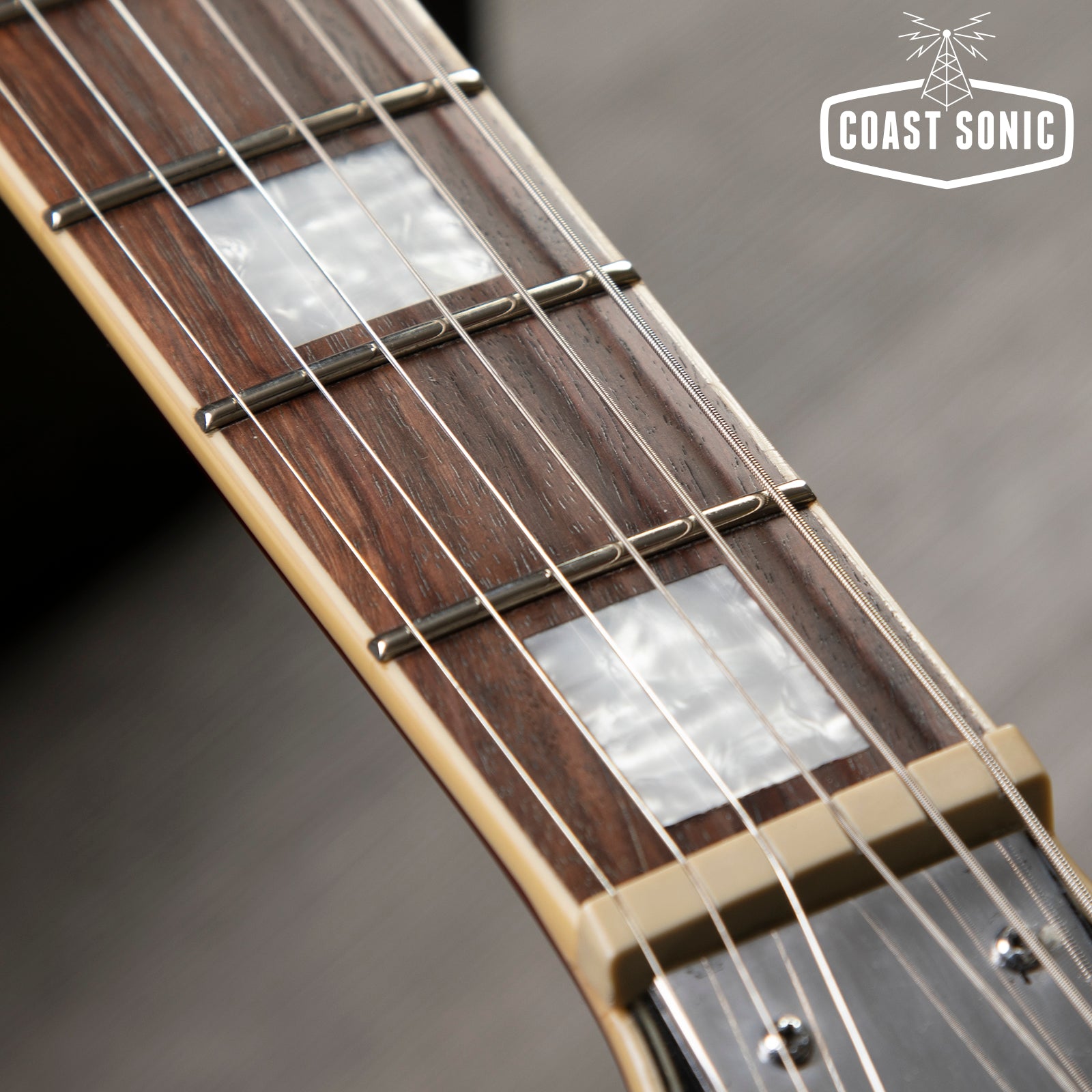 D'Angelico Premier DC with Upgrades