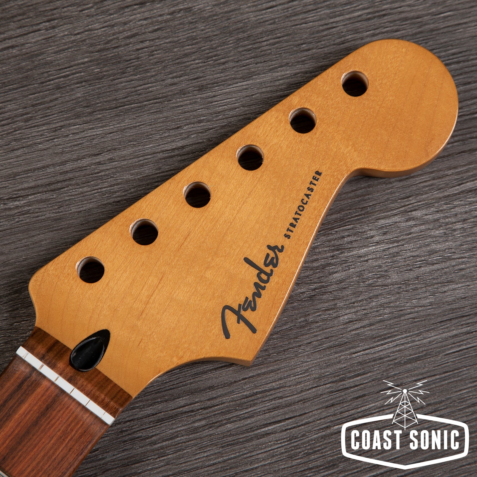 Fender Player Plus Stratocaster Neck Pau Ferro