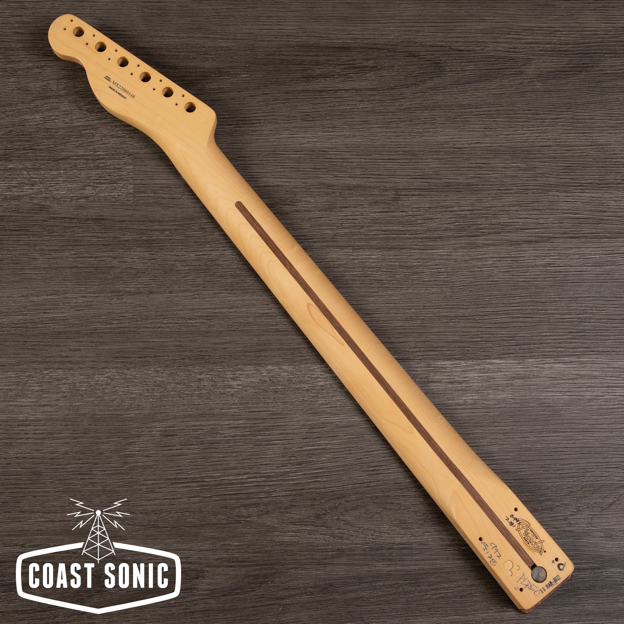 Fender Player Series Telecaster Pau Ferro