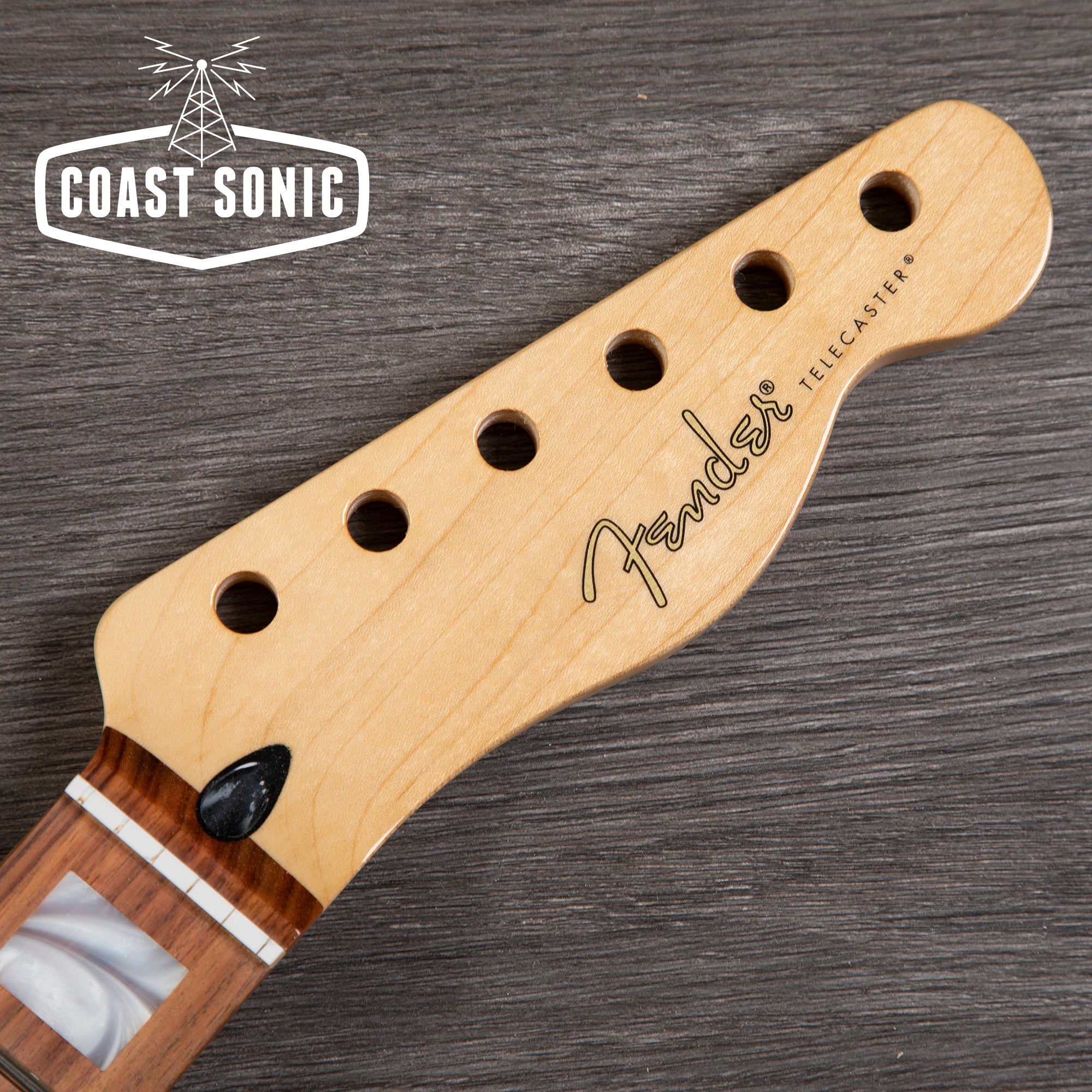 Fender Player Series Telecaster Neck with Block Inlays- Pau Ferro