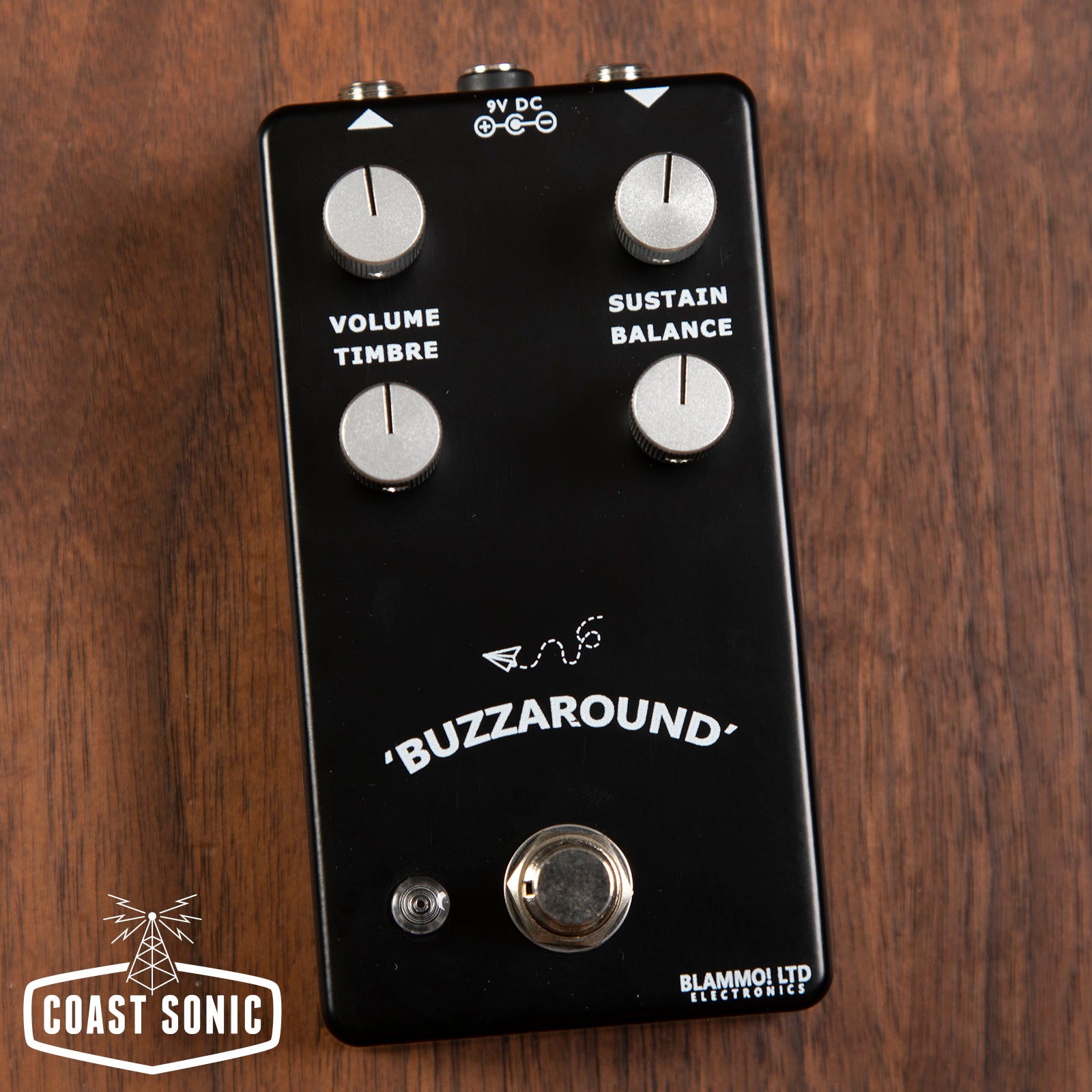 BLAMMO! Electronics Buzzaround