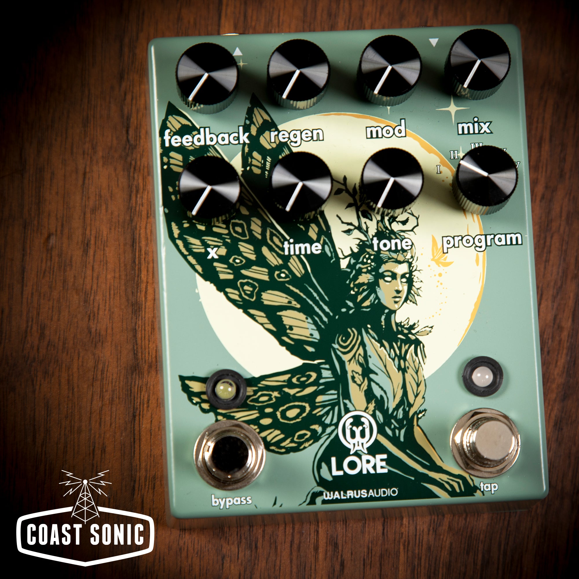 Walrus Audio Lore Reverse Soundscape Generator