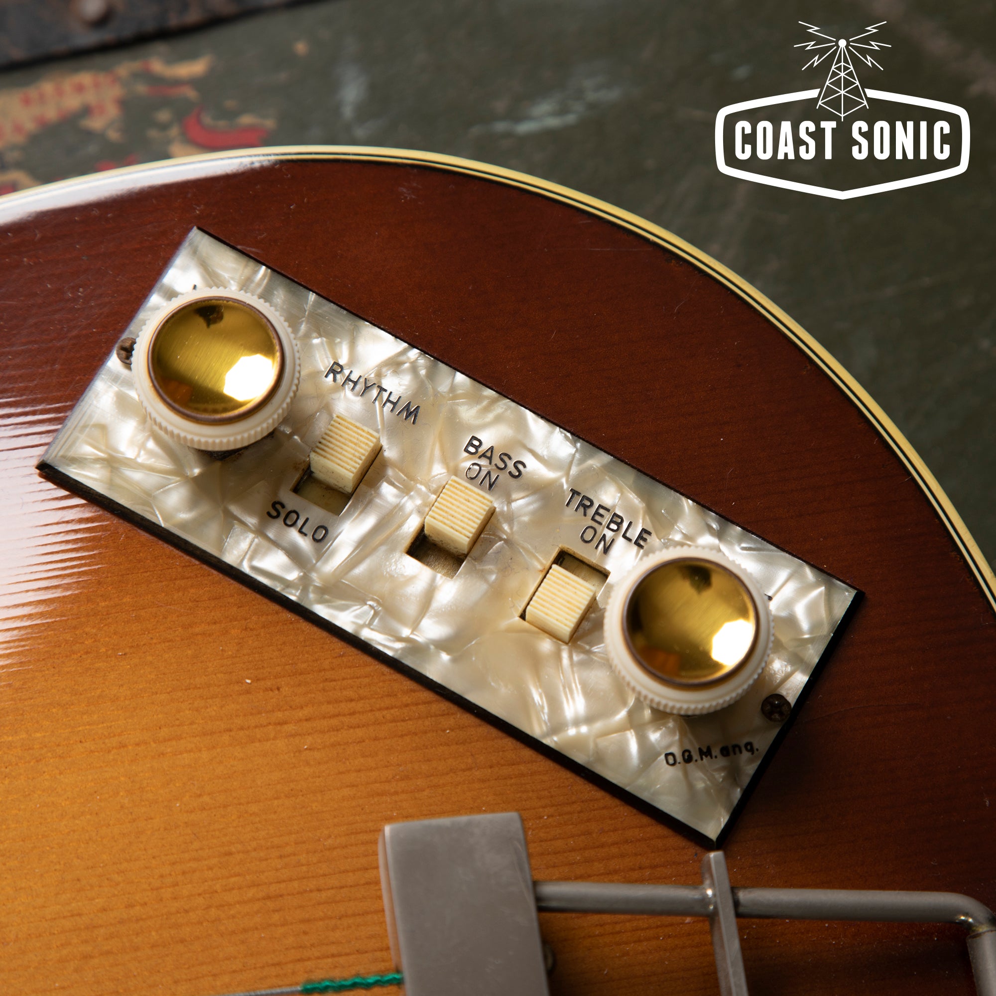 hofner bass antique control panel NEW Wired Control Plate