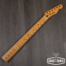 Fender Player Plus Telecaster Neck Maple