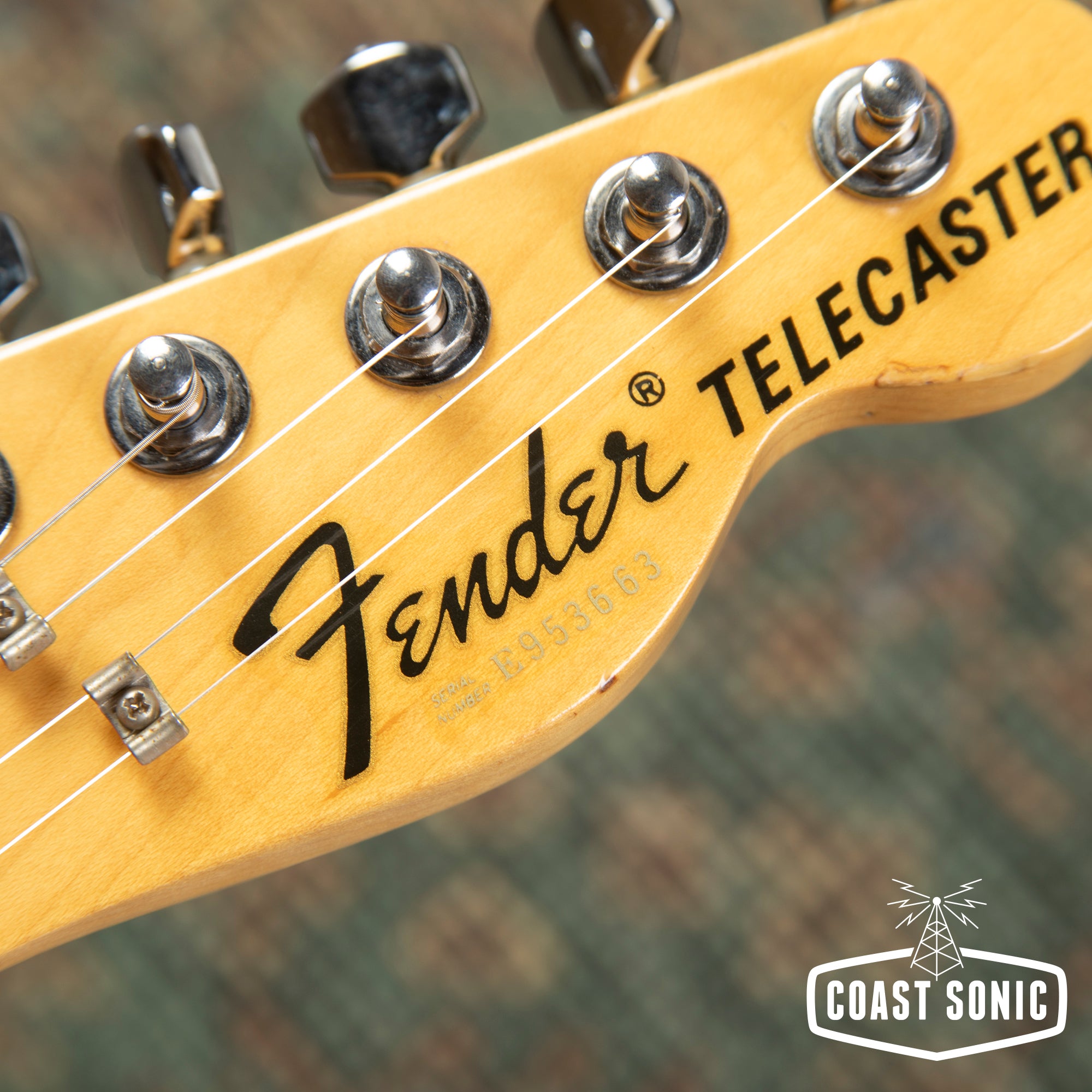 1986 Fender '72 Reissue Telecaster CTL-50R Made in Japan MIJ