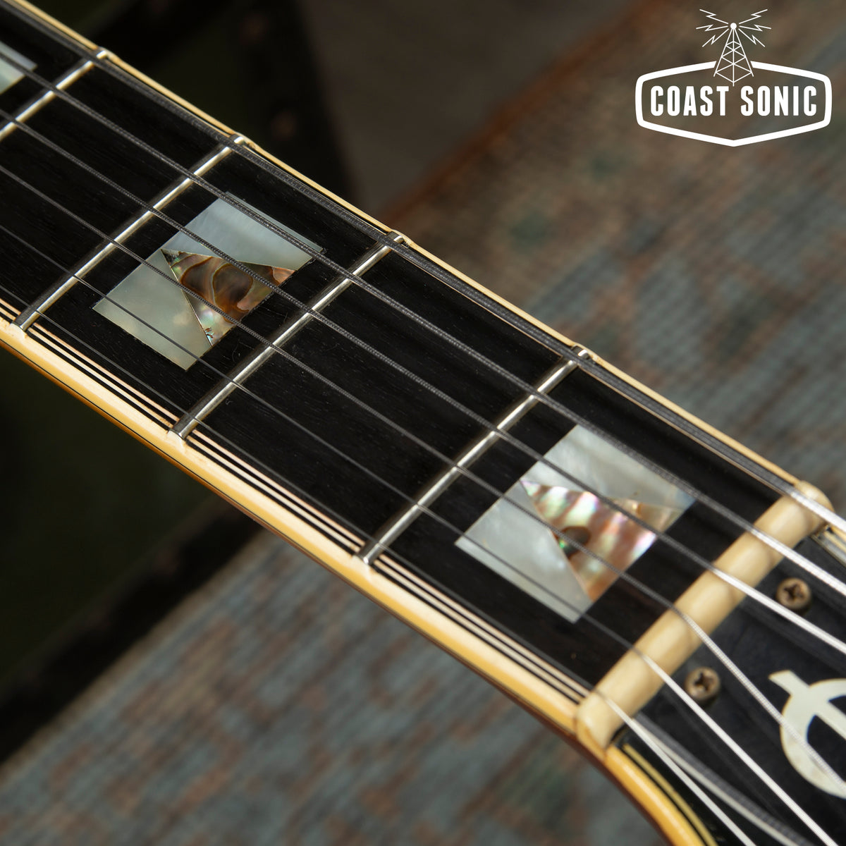 Vintage 1976 Epiphone Emperor Blue Label Made in Japan – Coast Sonic