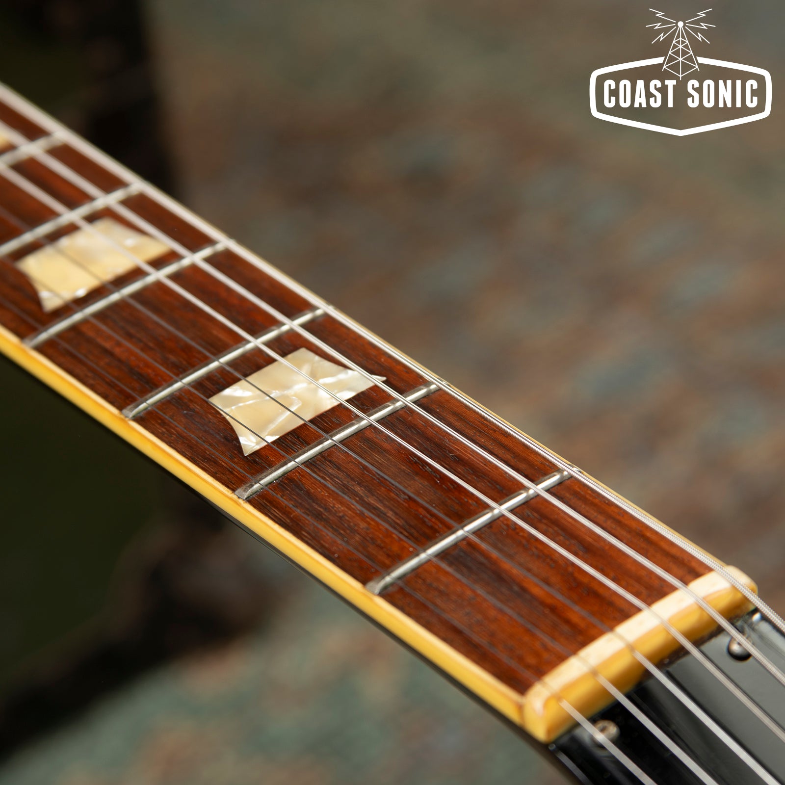 1991 Burny by Fernandes RFB-95 Firebird Made in Japan