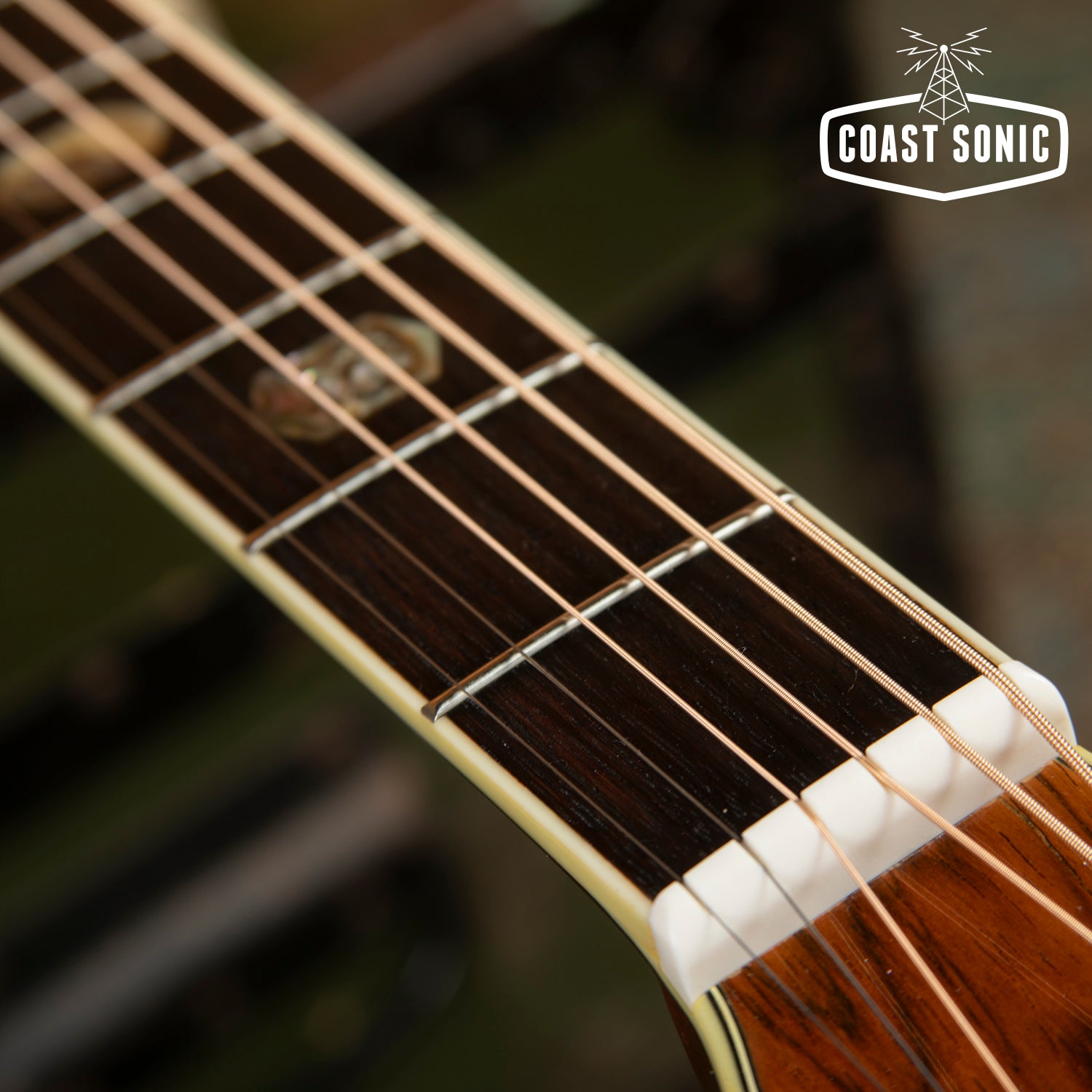 1990s Morris TF-50 (D-45 style) Dreadnought Acoustic, Spruce & Jacaran