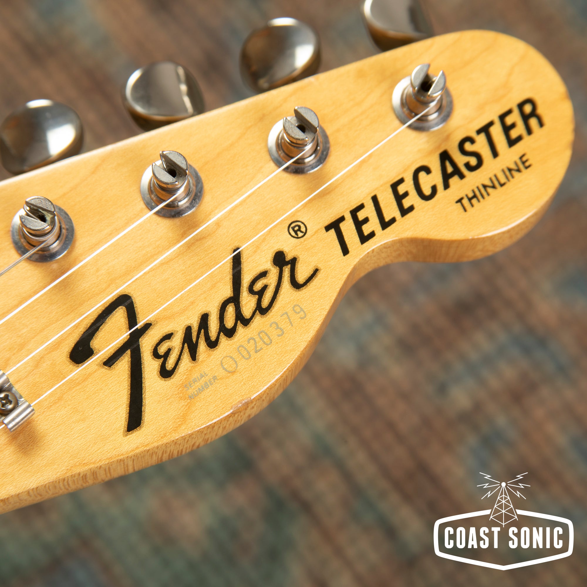 1993 Fender '72 Thinline Telecaster Reissue TN72-70 Made in Japan MIJ