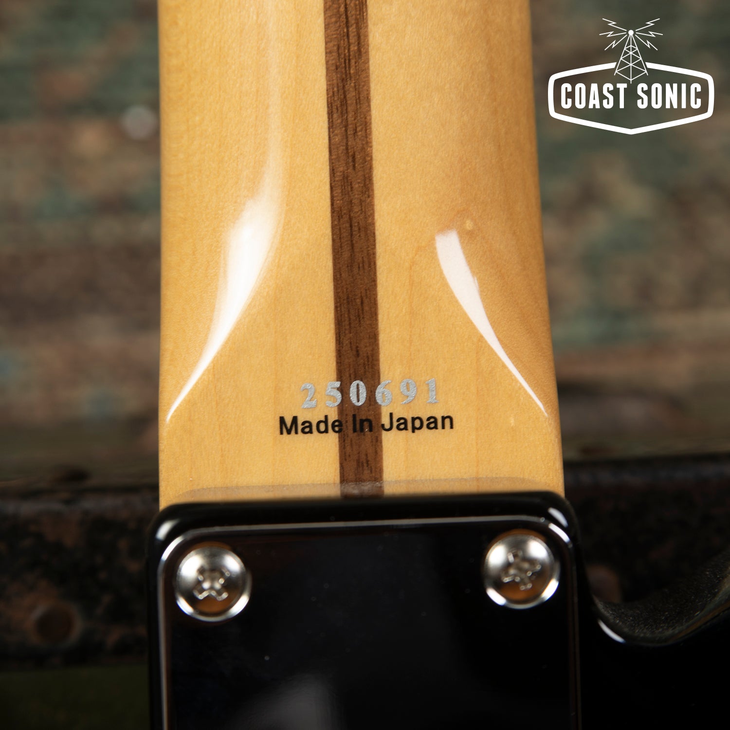 2026 Tokai Breezy Sound made in Japan MIJ