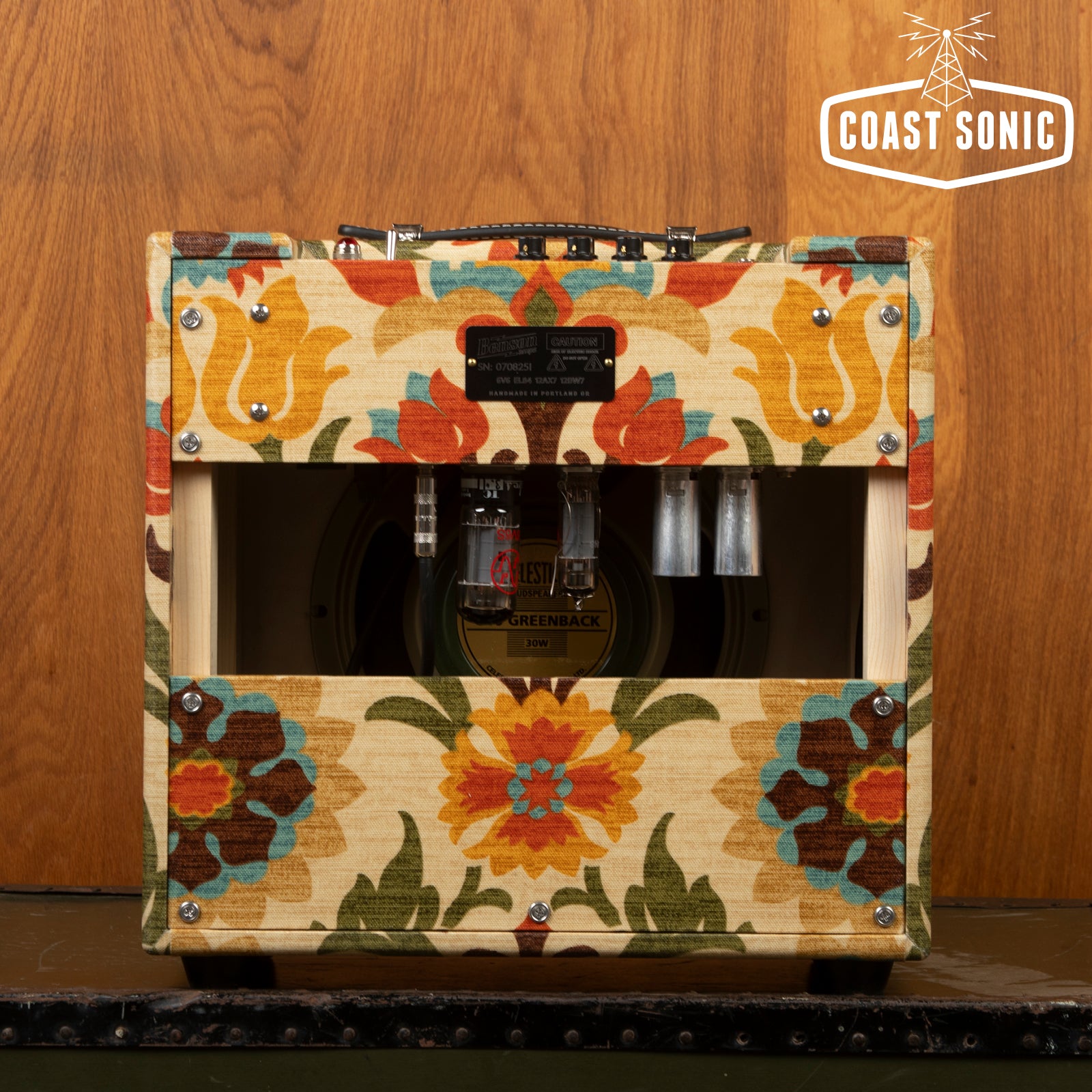 Benson Vinny Reverb Combo Amp "Desert Gertie"