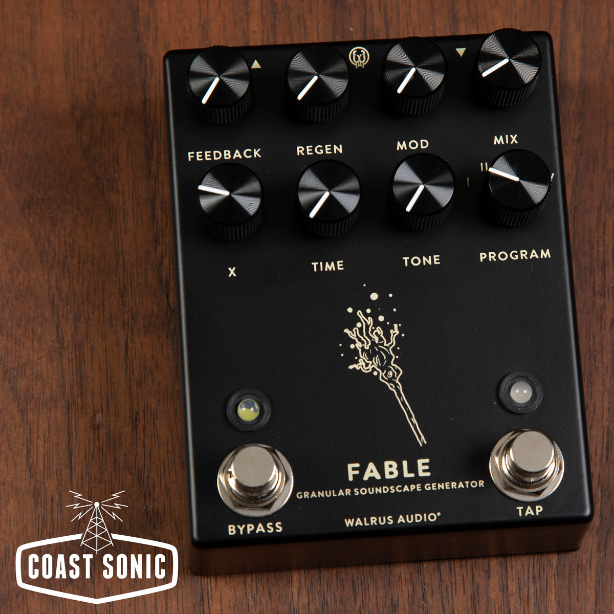 Walrus Audio Fable Granular Soundscape Generator - Black – Coast Sonic
