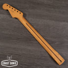 Fender Player Plus Stratocaster Neck Pau Ferro