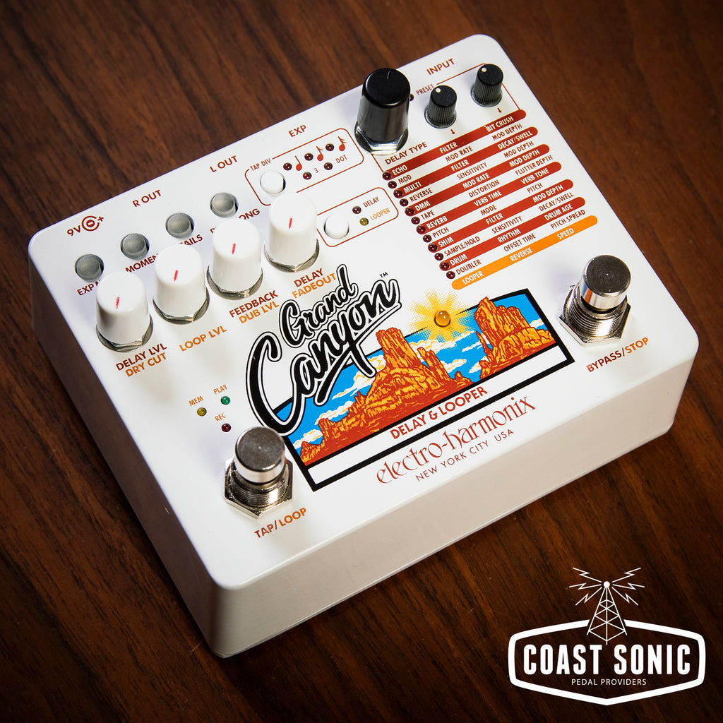 canyon effect pedal Electro Harmonix Grand Canyon Delay & Looper Pedal